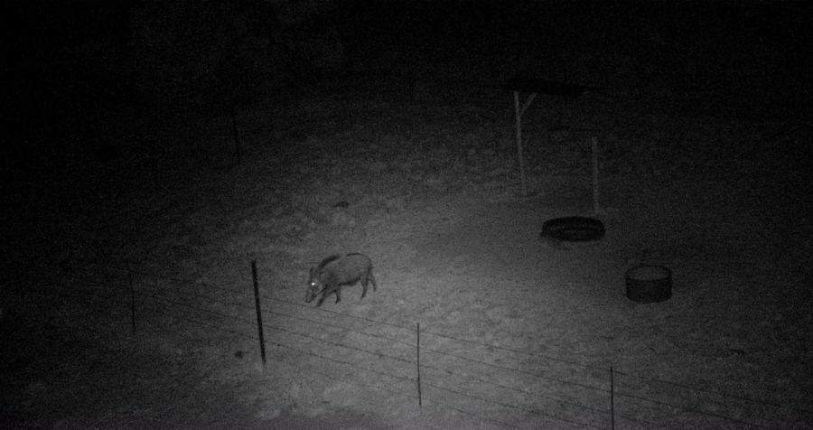 5 Bedroom Property for Sale in Swartruggens North West